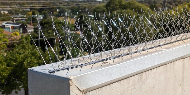 Bird spike installation